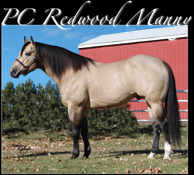PC Redwood Manny